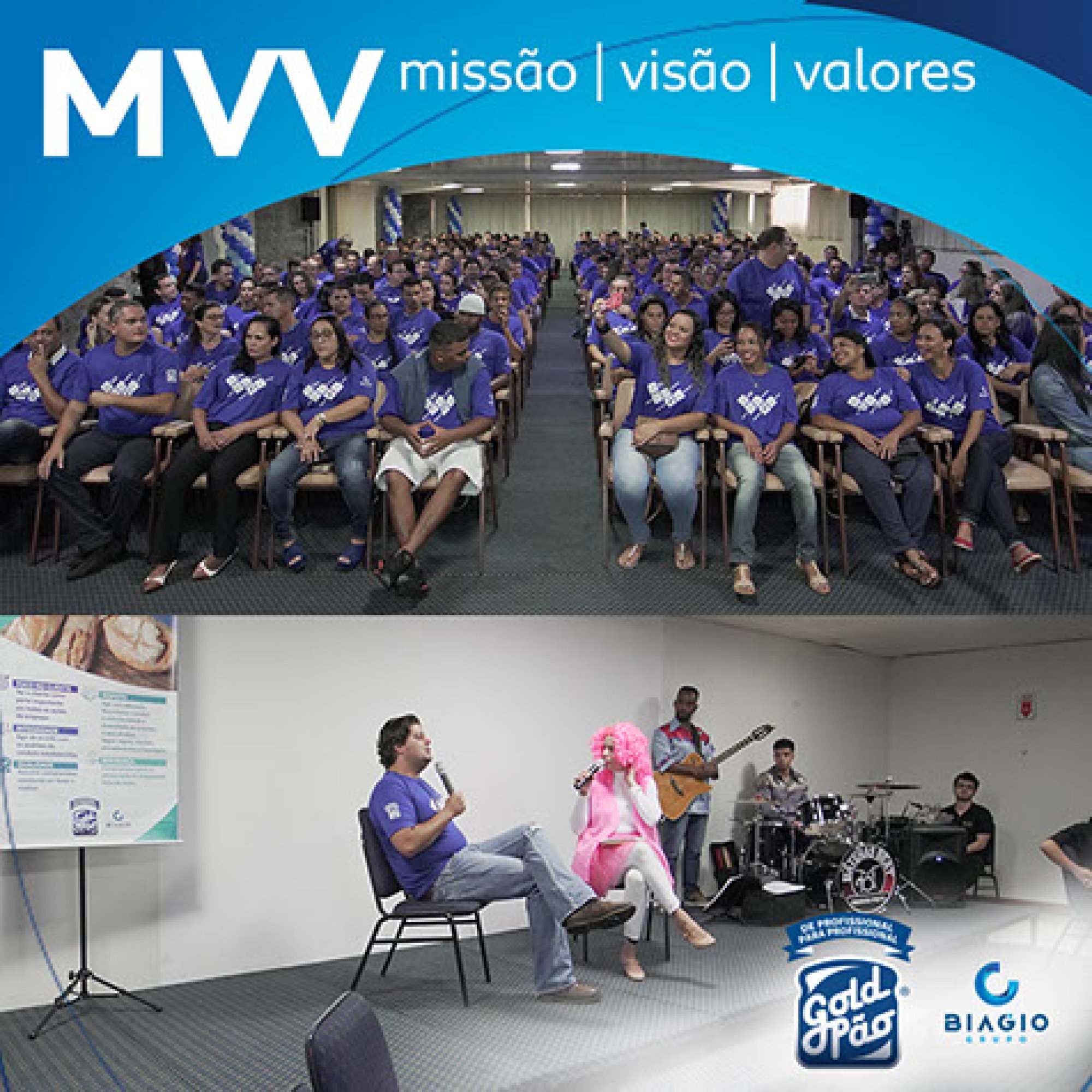 MVV. Missão, visão e valores.